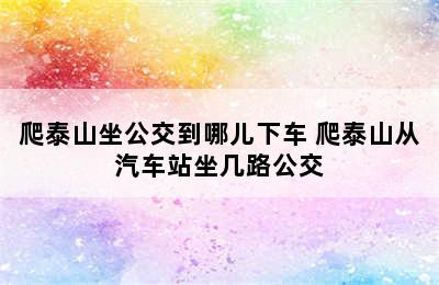 爬泰山坐公交到哪儿下车 爬泰山从汽车站坐几路公交